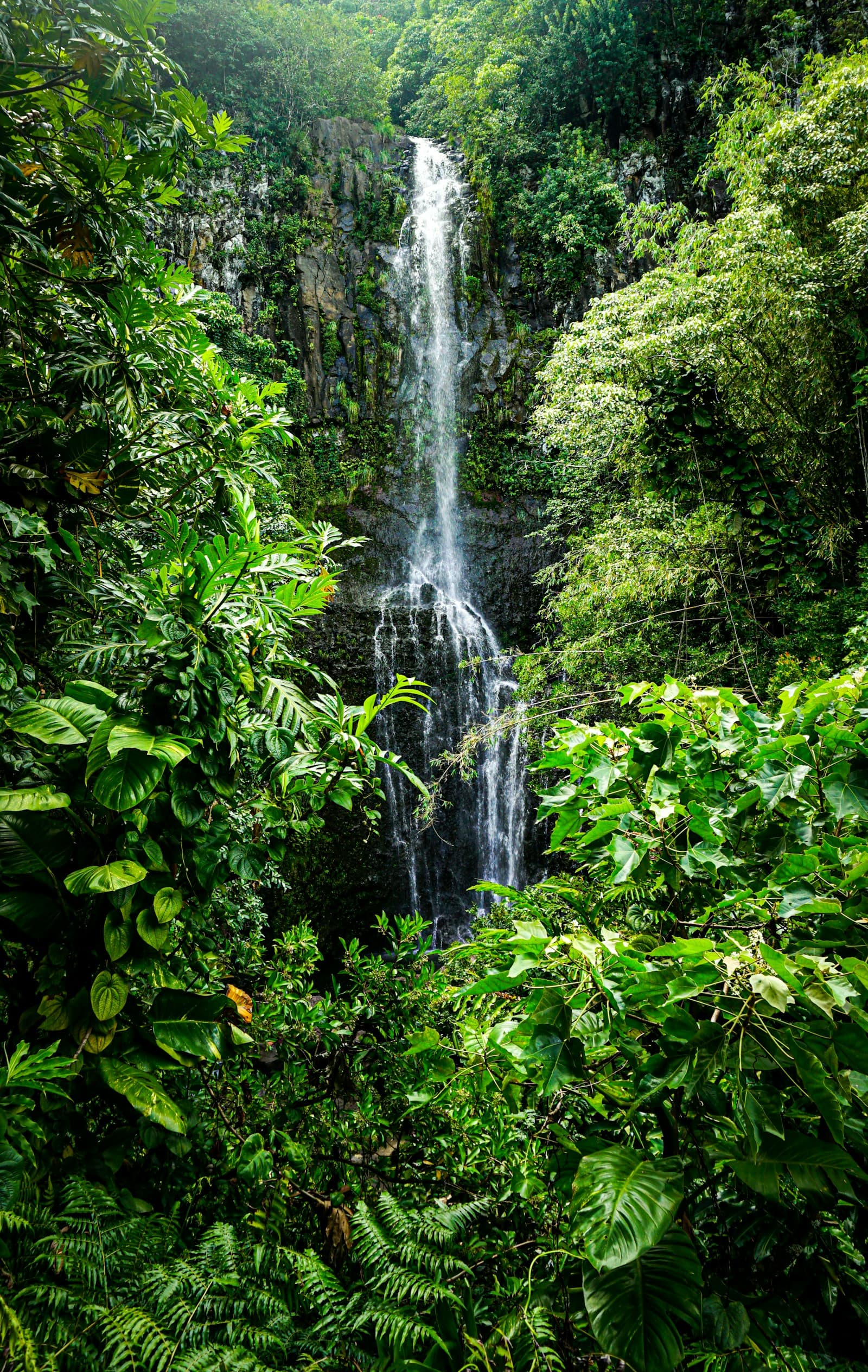 Cascata