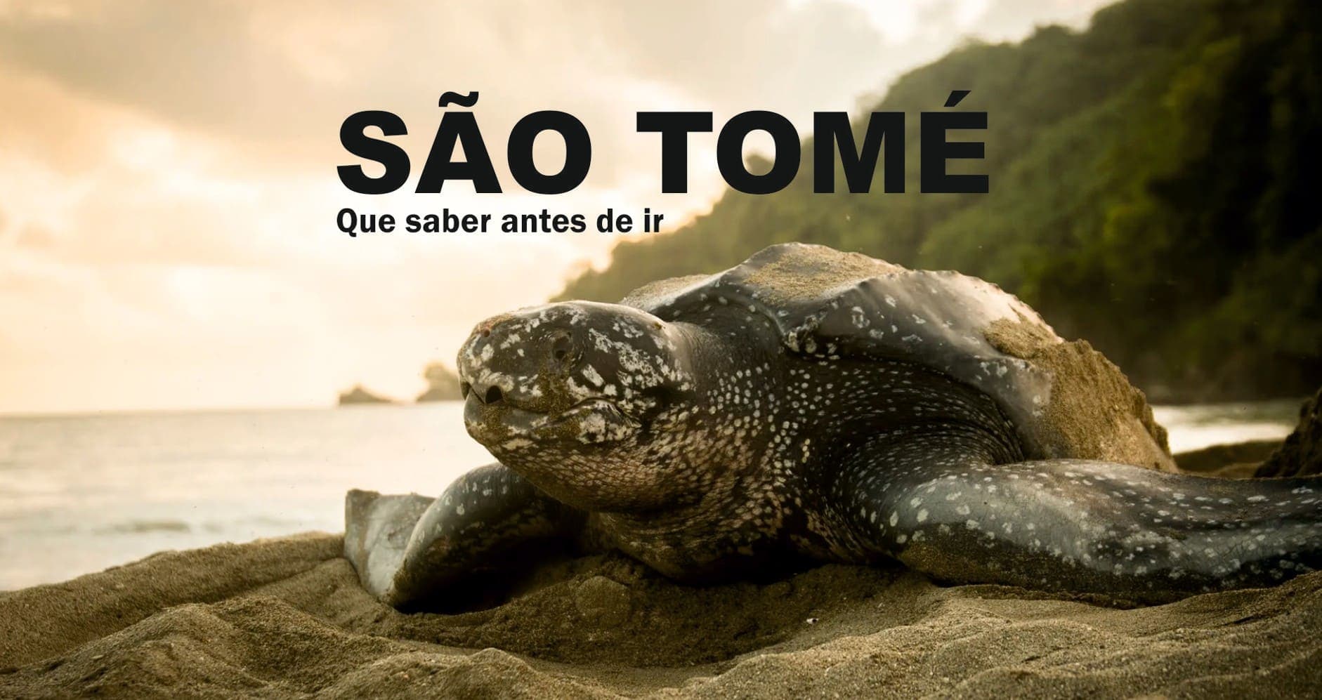 Preguntas Frecuentes sobre Santo Tomé y Príncipe: Todo lo que Necesitas Saber