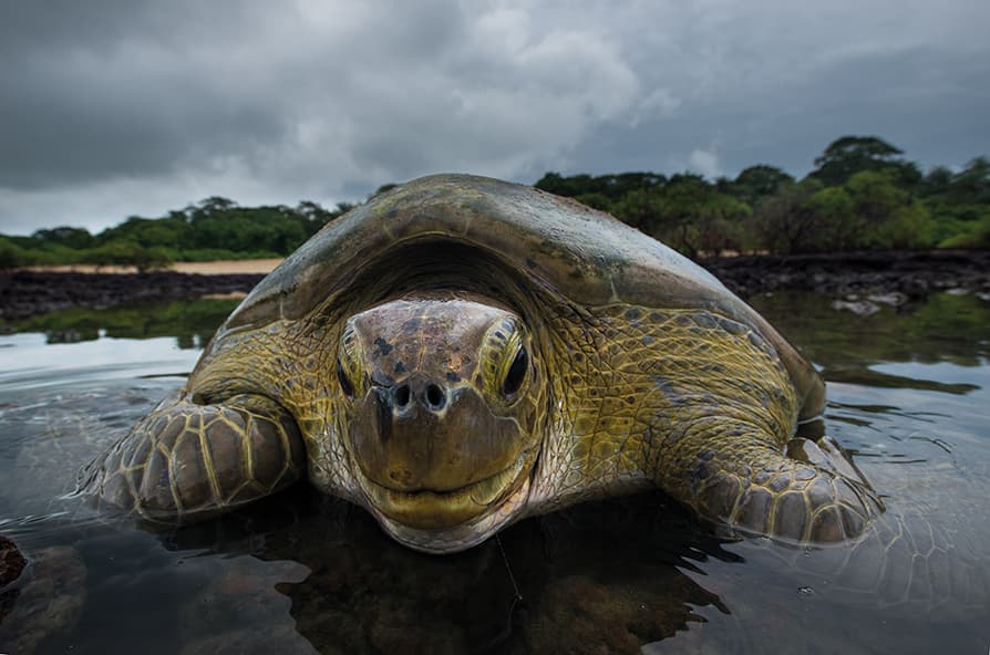 Bijagos Islands Tour: Wild Guinea-Bissau in 12 Days (6)