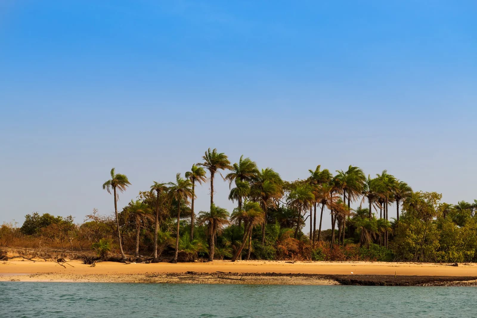 Bijagos Islands Tour: Wild Guinea-Bissau in 12 Days (5)