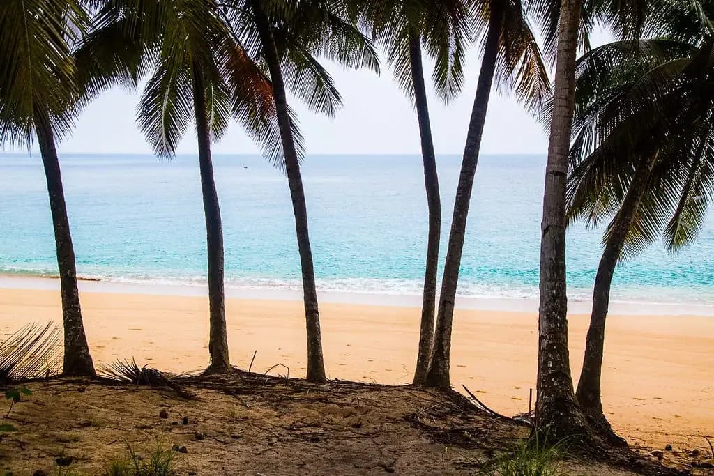 Quanto Custa uma Viagem à Ilha do Príncipe? Preços Reais e 3 Orçamentos (2027)