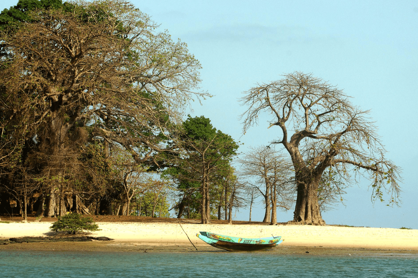 Viagem aos Bijagós: 12 Dias