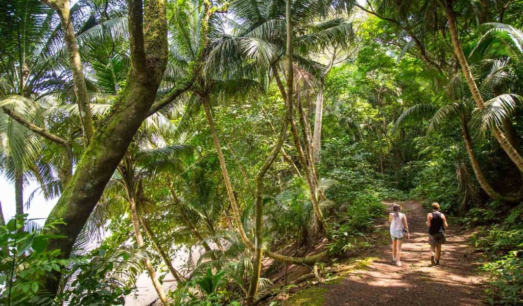 Trekking em São Tomé e Príncipe: 9 Dias na Floresta do Cacau