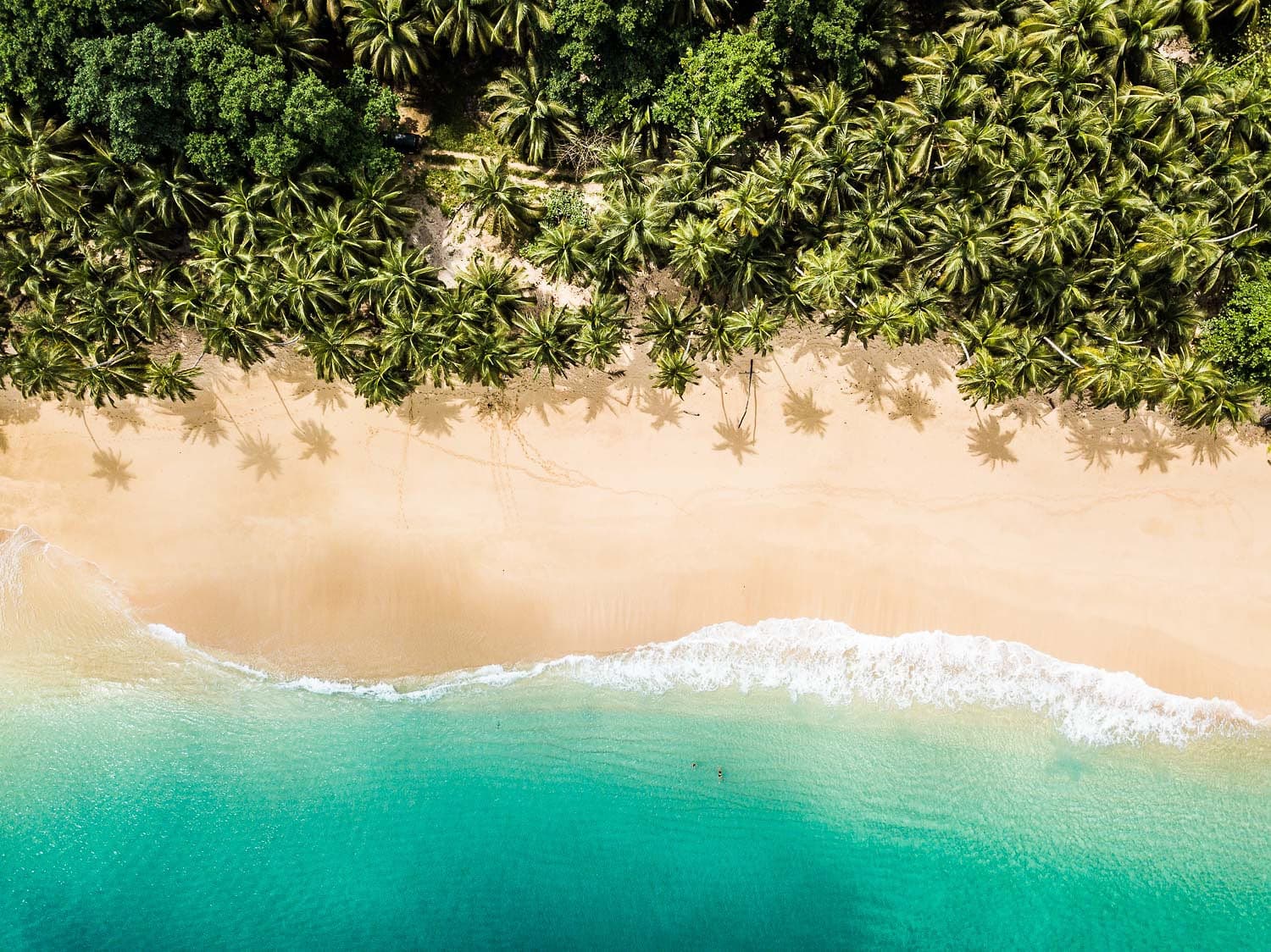 10 Islas Paradisíacas y Cálidas para Huir del Frío (y la Alternativa Secreta sin Turistas)