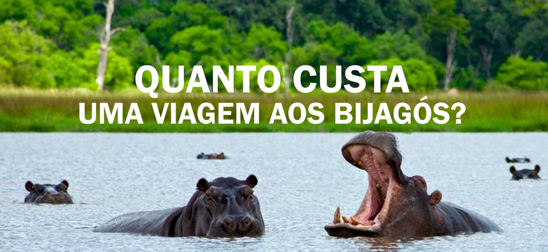 How Much Does a Trip to the Bijagos Islands Cost? (Real 2026 Price)
