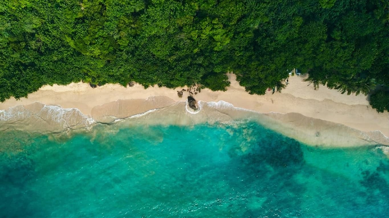 Combien Coûte un Voyage à São Tomé-et-Príncipe ? Prix 2026