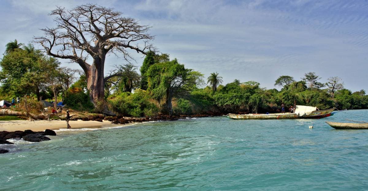 Bijagos Islands Tour: Wild Guinea-Bissau in 12 Days (2)