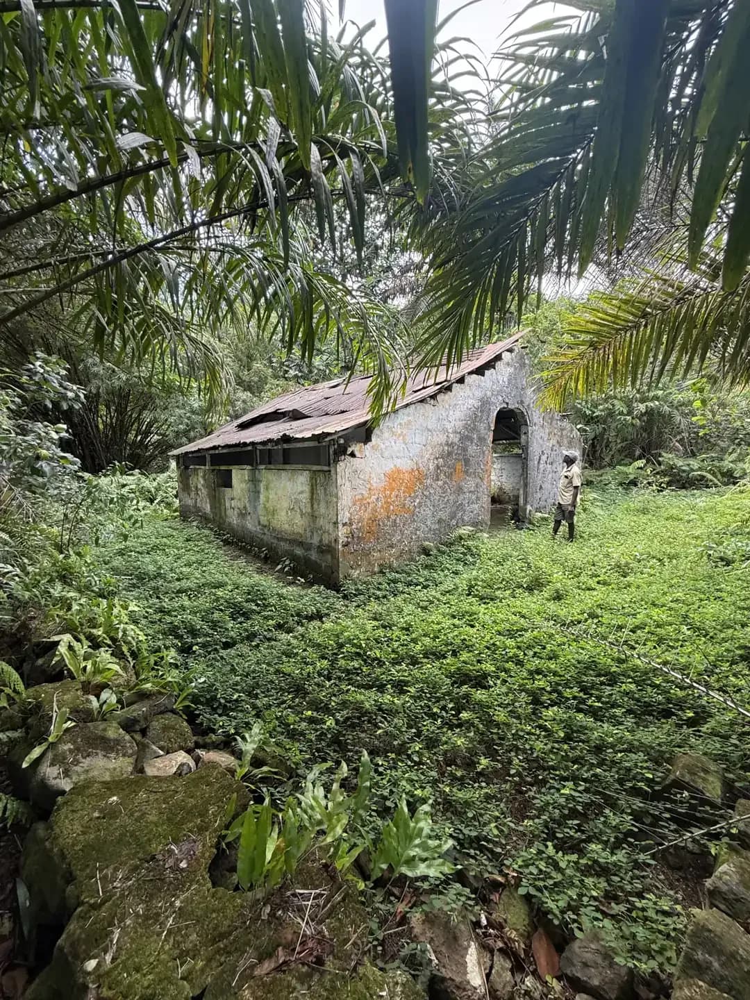 Retiro Espiritual em São Tomé e Príncipe: 10 Dias no Equinócio, com Voos (3)