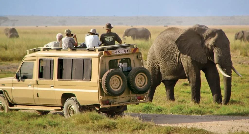 Tanzânia e Zanzibar: Guia Rápido para Combinar Safari e Praia